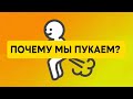 Почему мы пукаем? Газы - это норма или стоит волноваться?