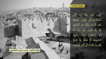 غسان الشوربجي سورة فصلت