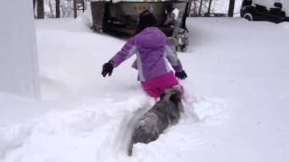Fun in the blizzard