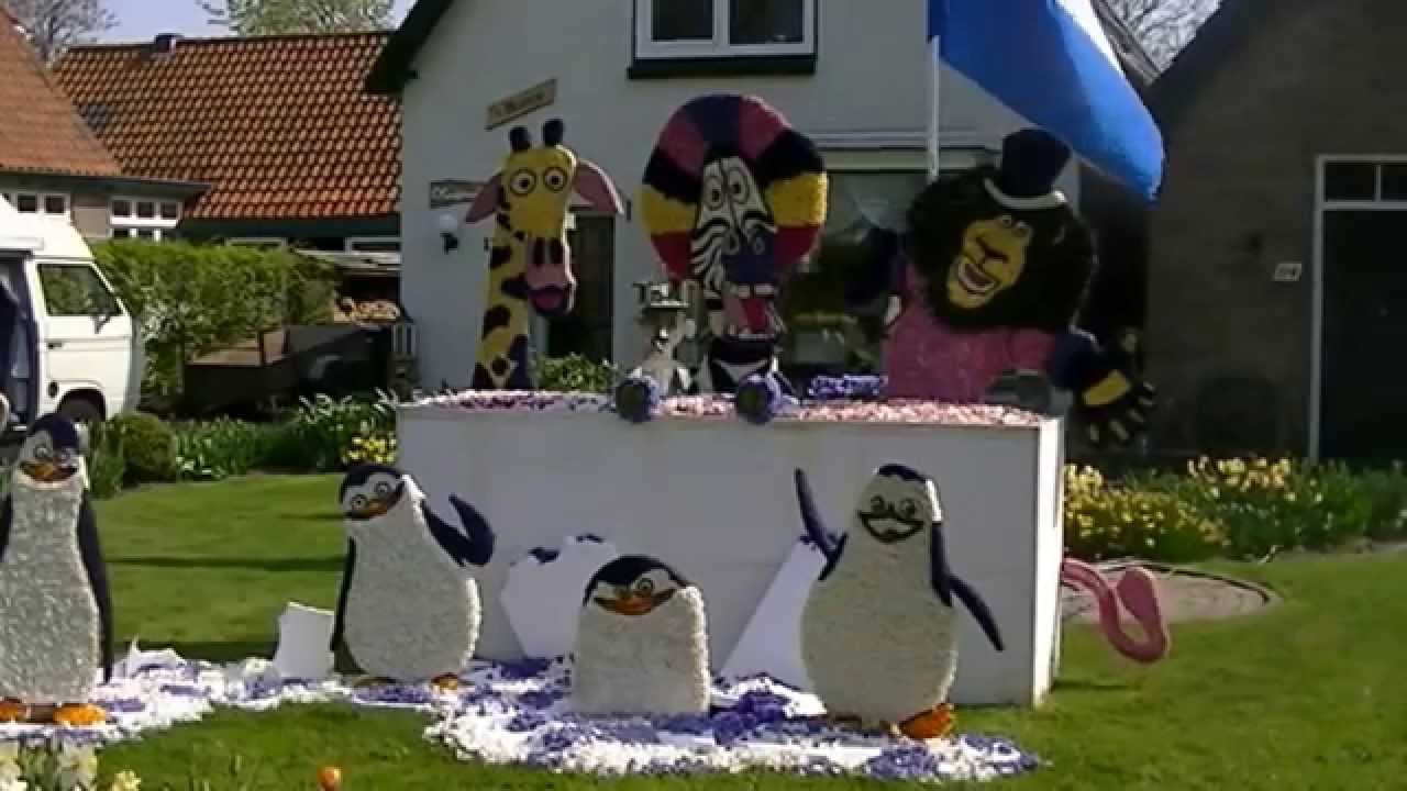 Anna Paulowna & Breezand - Bloemendagen 2013