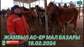 18 ақпан 2024 Мал базар / Жылқы бағасы / Mal Bazar Taraz 🐴💯