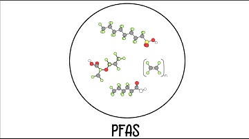 Why PFAS Should be Considered as a Class