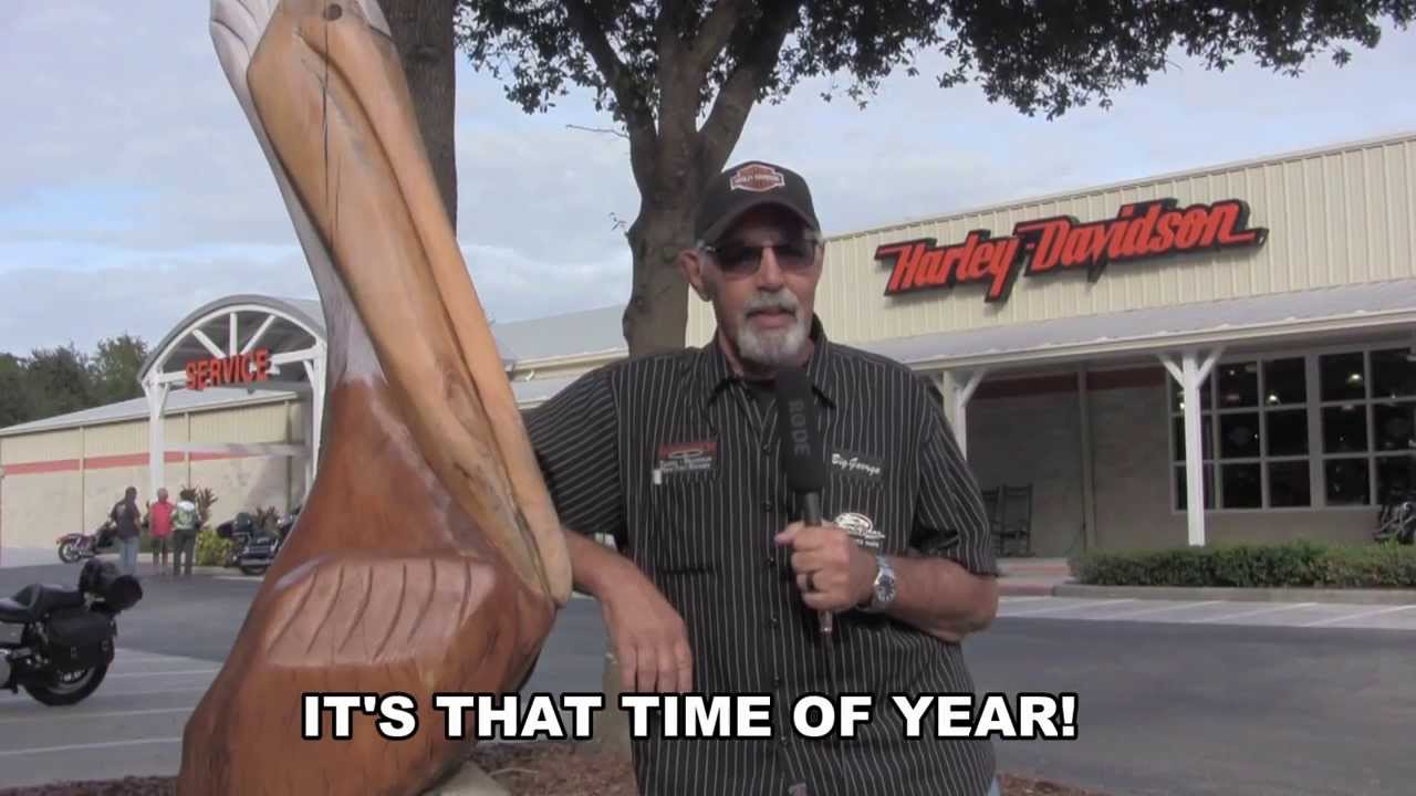 Giant Used Motorcycle Tent Sale - Harley Davidson of New Port Richey, FL