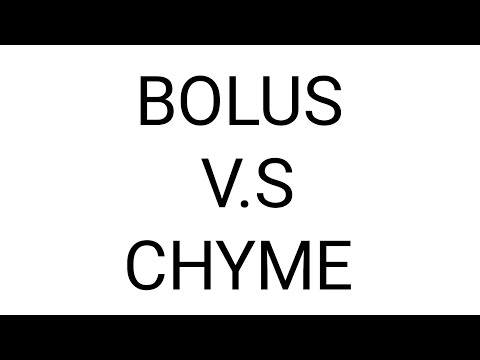 Difference between bolus and chyme Bolus vs Chyme Biology
