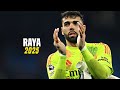 David Raya 2025: Unbelievable Saves for Arsenal & Spain ⚽