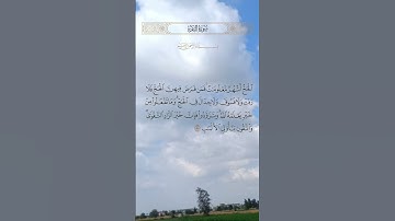 الحج أشهر معلومات #سورة_الحج #قرآن #قران_كريم #الحج