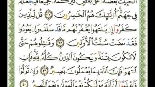 008   سورة الأنفال   شيرزاد عبد الرحمن طاهر