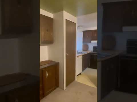 IMG 2663