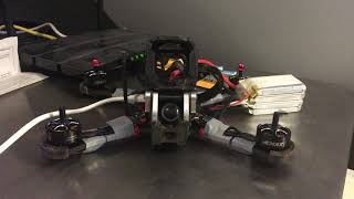 IMG 1819