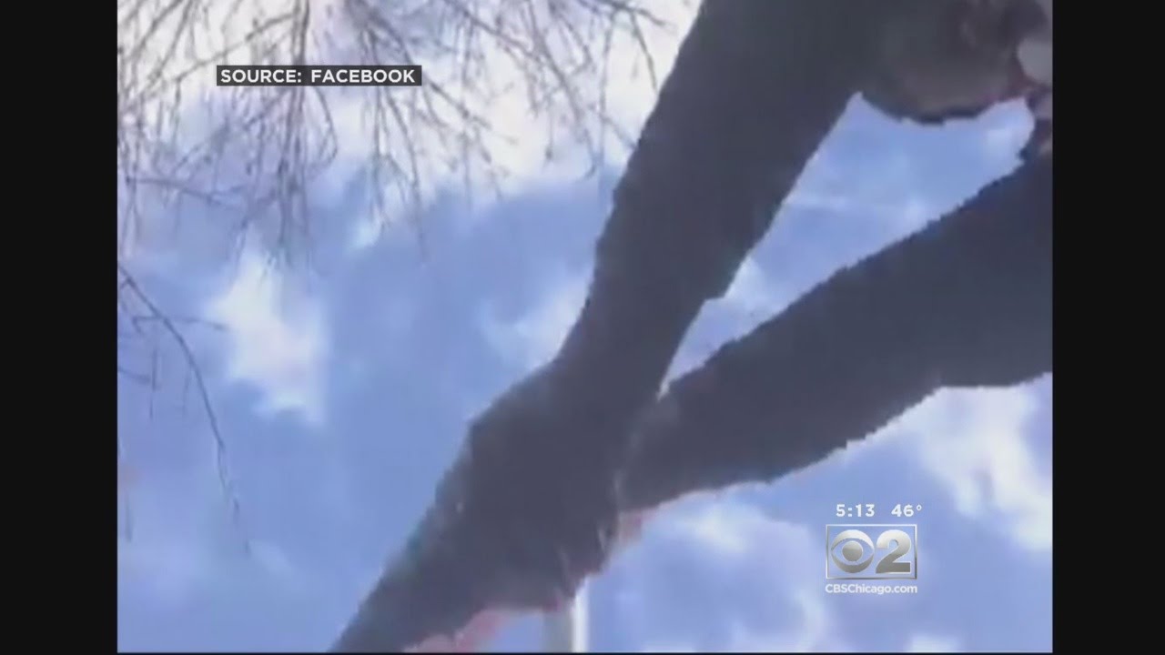 SocialMedia Video Captures Live Shooting YouTube