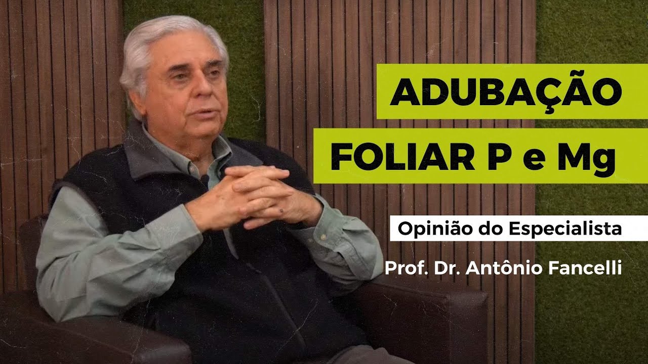 Adubação Foliar com Fósforo e Magnésio - Prof. Dr. Antônio Fancelli