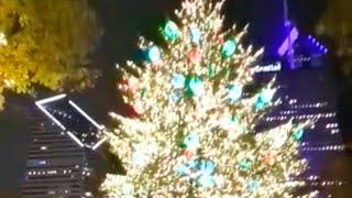 Millennium Park Tree LIGHTING l Chicago