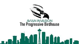 Progressive Birdhouse - May 13, 2026
