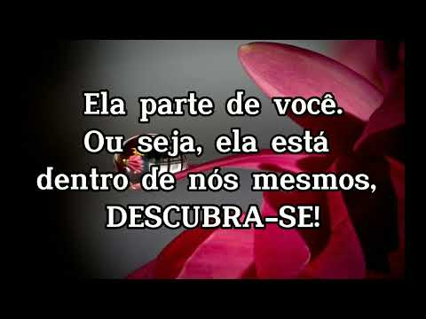 28 de Junho - Ser feliz - Mensagem do dia de Motivação, Reflexão e Acolhimento