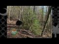 A DNR Day in the Mountains