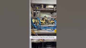Inside the Mold: Exploring the Thermoforming Process