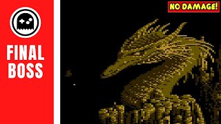 The Immortal (NES) - Final Boss - The Dragon - (No Damage)