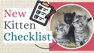 What to buy for a new kitten
