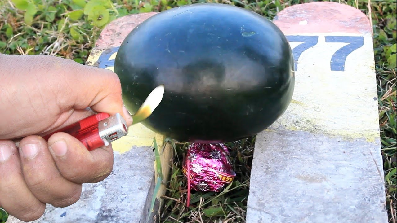 Watermelon Testing With Jumbo Bomb टरबुज ब्लास्ट ? Watermelonspark 