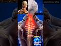 Neck pain exercises ( cervical pain ) @RunPhysiotherapyclinicjaipur #neckpain
