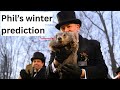 What did the groundhog see Punxsutawney Phil’s winter prediction is in