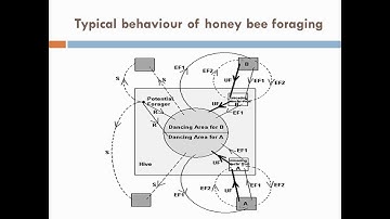 Artificial Bee Colony