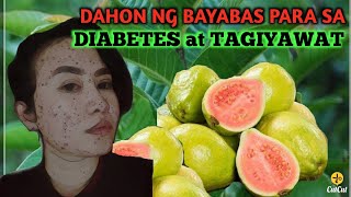 DAHON NG BAYABAS PARA SA DIABETES-TAGIYAWAT AT IBA PA.