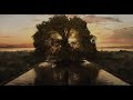 The Fountain - Tree of life