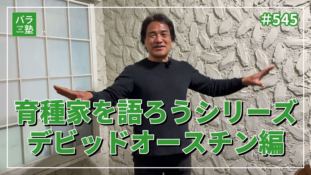 #545 育種家を語ろうシリーズ デビッドオースチン編