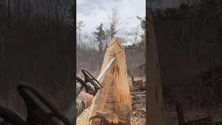 How to chainsaw carve a forest gnome #chainsawcarving#gnome