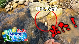 こんな穴からまさかの極太うなぎが釣れた‼【夏休み釣って山生活２泊３日#1】