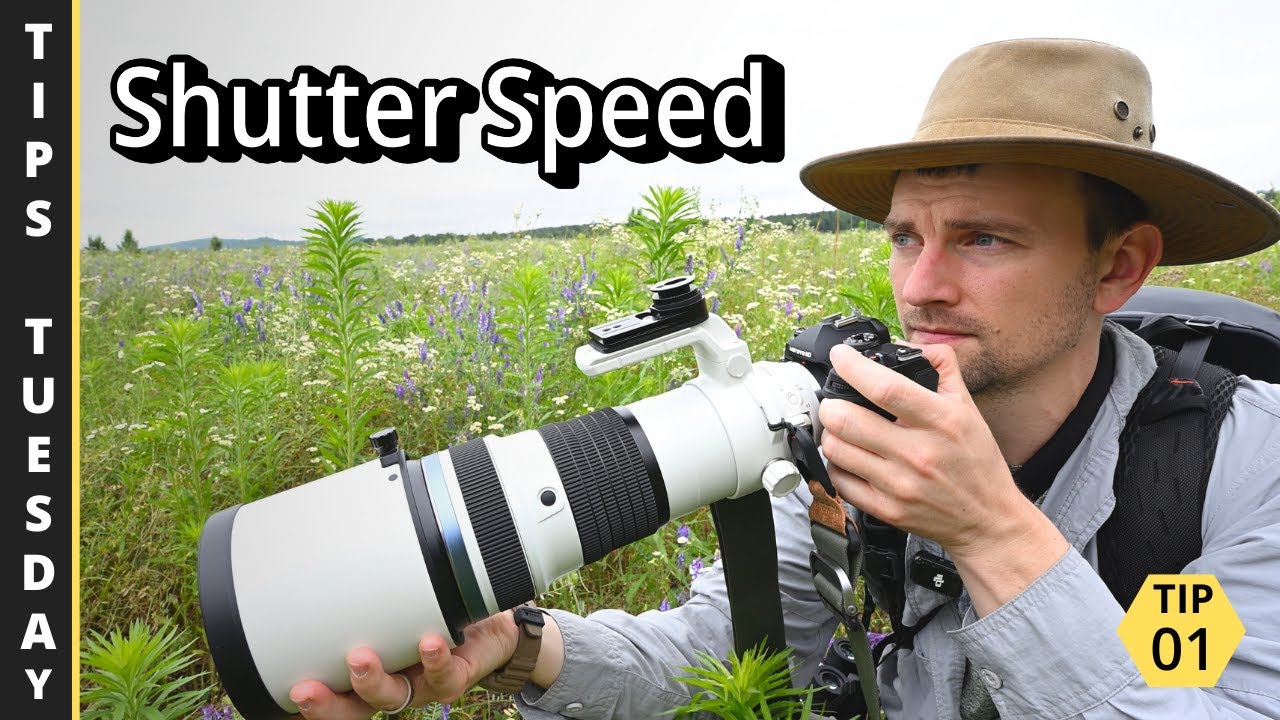 Выдержка для фотосъемки дикой природы | Советы по вторникам #1