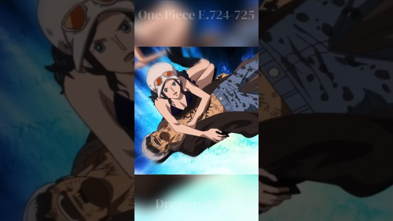 Robin Shields Law 🛡 