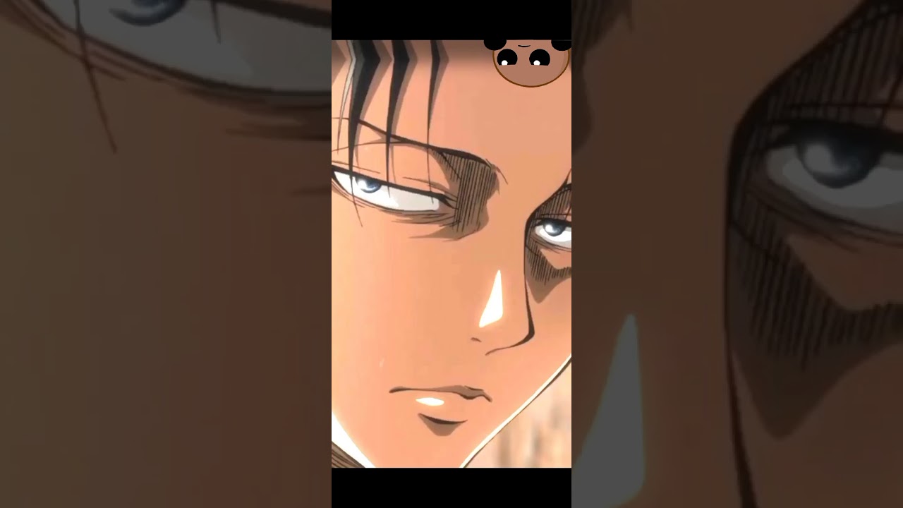 تصميم ليفاي   ( tala56)