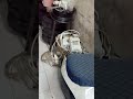 Ola Second Betrrey #sarswatiev #ola #electricvehicle #instagood #youtubefeed #youtubeshorts #viral