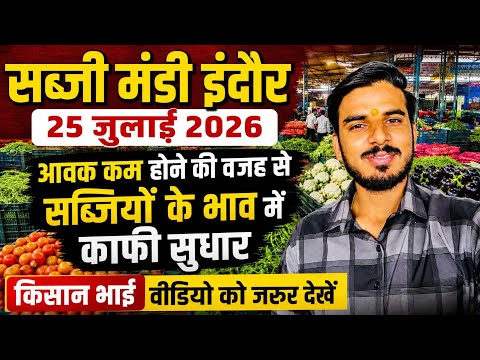 25 July 2026 🍅🌶आवक कम होने से सब्जियों के भाव मे सुधार // #sabji #mandi indore daily update #mp