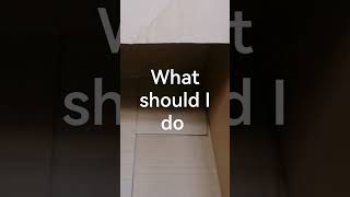 Boys, lets do something great!
