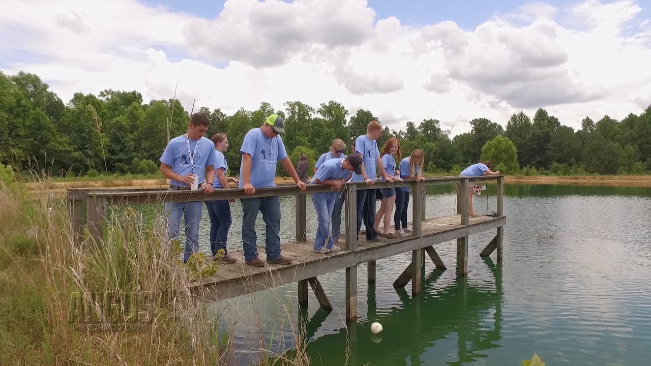 The Angus Report, August 21, 2017: Around the Angus World, LEAD