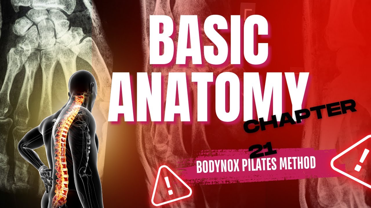 BPM Anatomy Series ( english) :21.The Science of Pilates Breathing