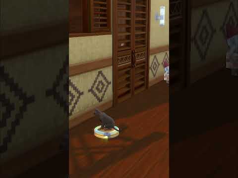 Комментарий под прошлым видео подал идею на это #thesims4 #симс4 #негоняйтепацаны