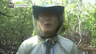정글의법칙 130802 #42(11)