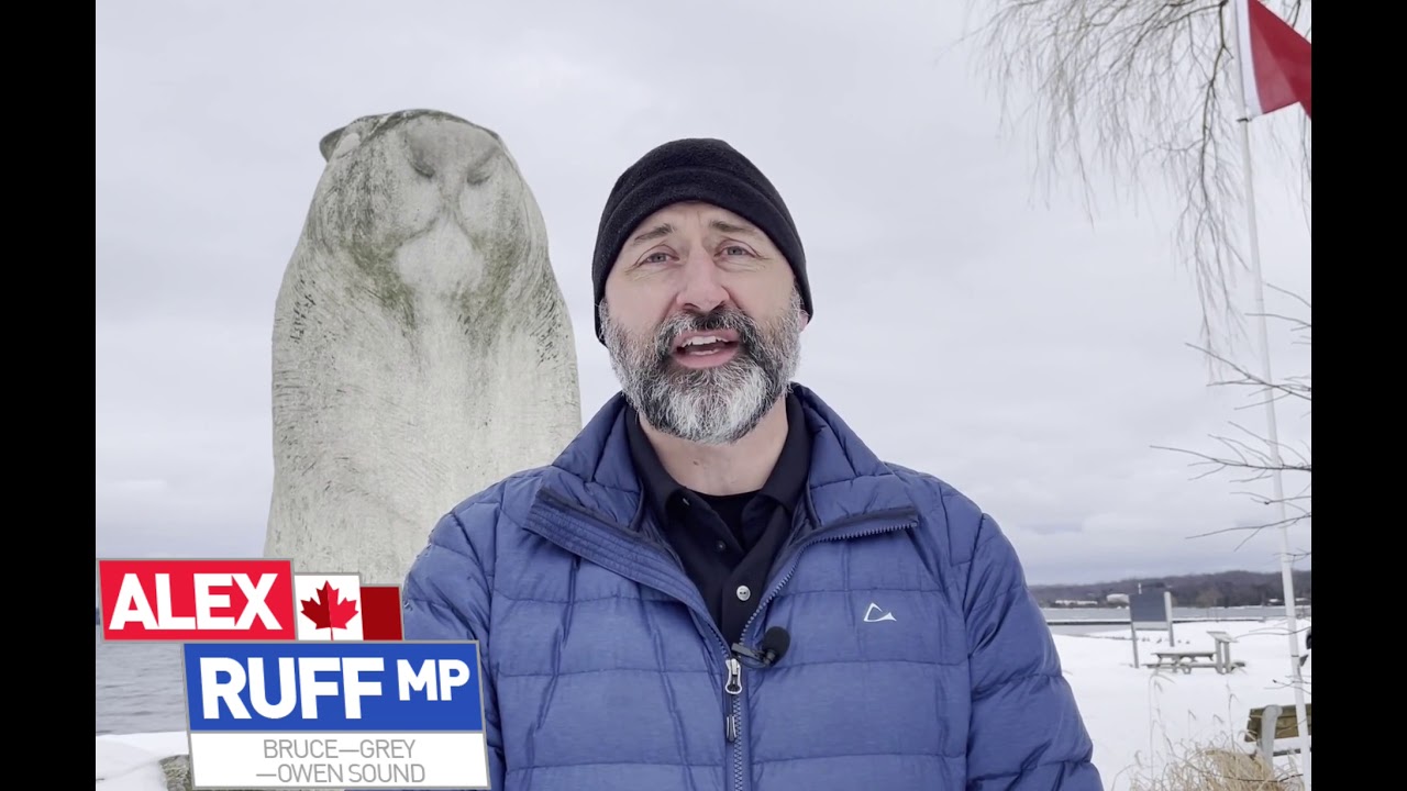 Wiarton Willie 2021 : Boxcjlncdqb9tm : All eyes on you willie today