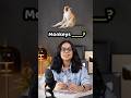Animal Vocabulary - Words For Animal Movement | Don't Say Animals Walk | Learn English With Ananya