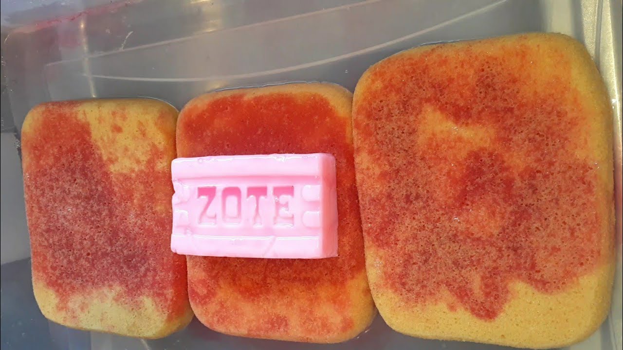 Zote Laundry Bar w/ Water & Floral Pinalen! Sponge ASMR! YouTube