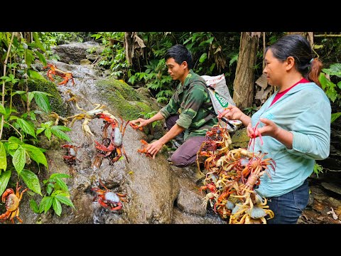 Caught a lot of mountain crabs deep in the forest. A free meal and extra income.