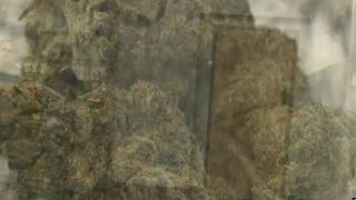 Legalization of marijuana: What's next?ii