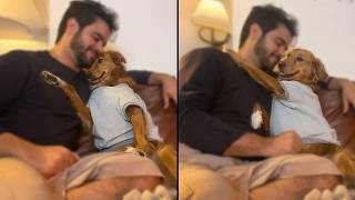 Dog Gives Dad The Most Beautiful Hug