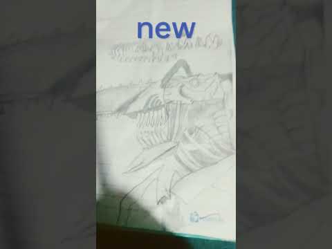 what is beter old or new