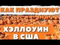 Vlog#292 ВЫХОДНЫЕ В #АМЕРИКЕ |ФЕРМА В #США |КУКУРУЗНЫЙ ЛАБИРИНТ | #ХЭЛЛОУИН В #США