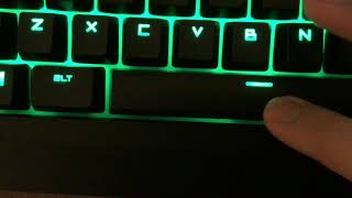IMG 0002